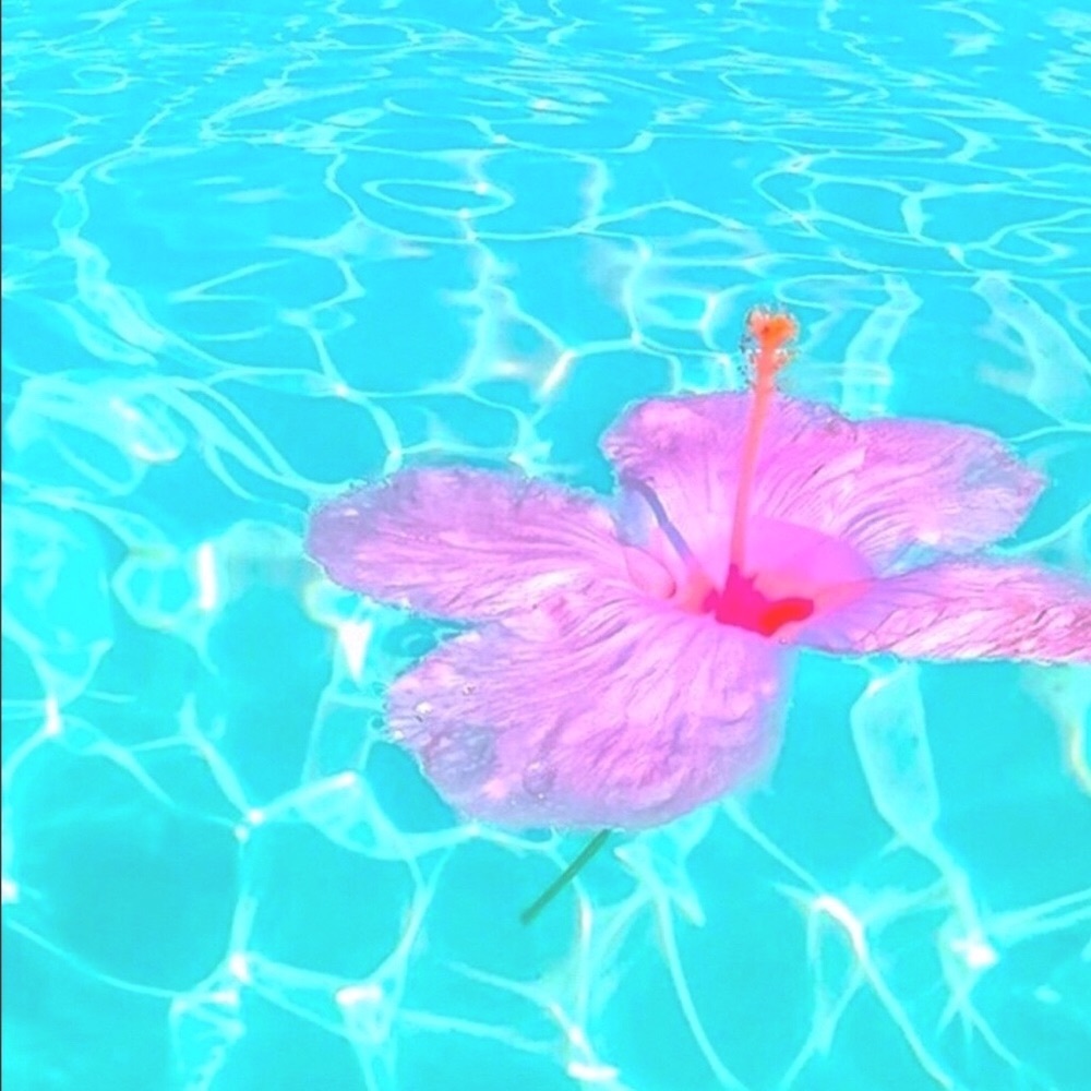 xoxoxo amyyy ♡ ｡｡ breathe  ｡｡   ♡ ｡♡